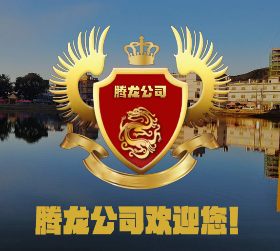 腾龙酒店大堂实景